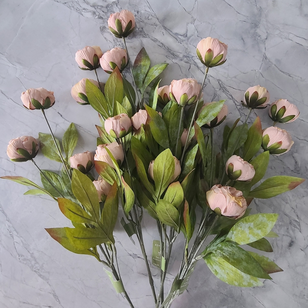 6 Tan Peony Stems By Ashland
